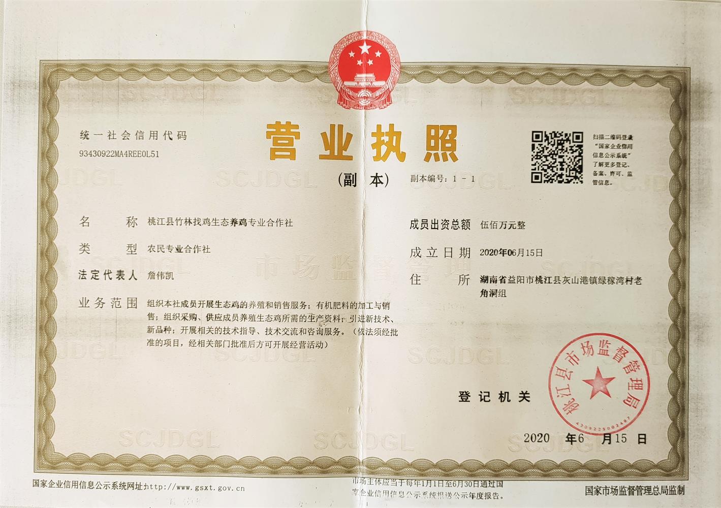 企业发展愿景