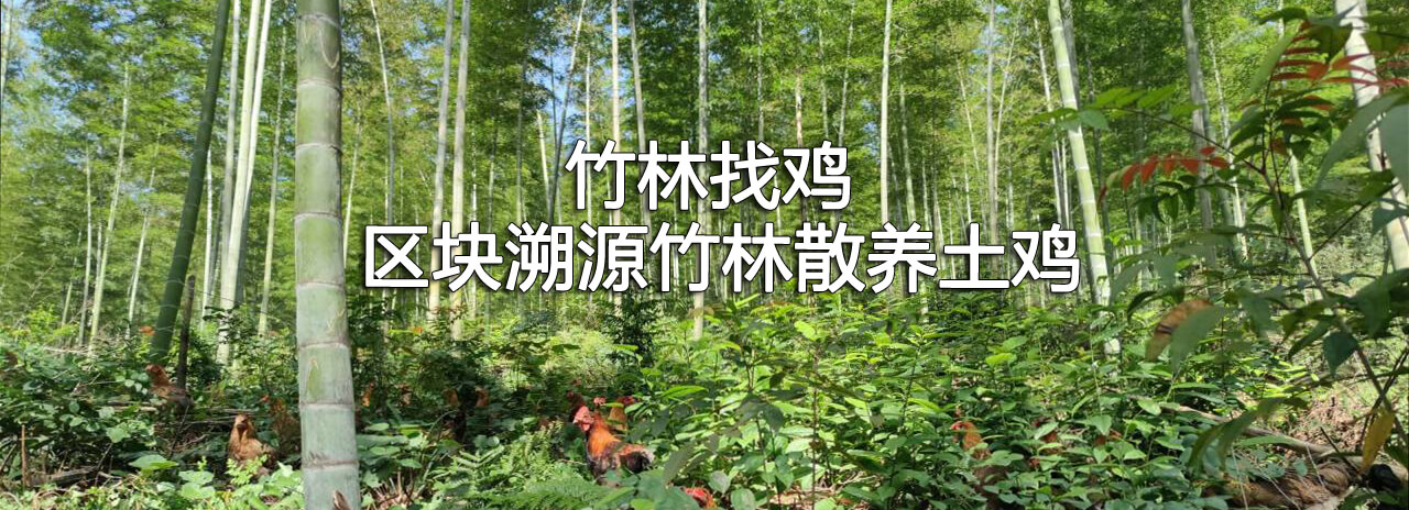 行业新闻